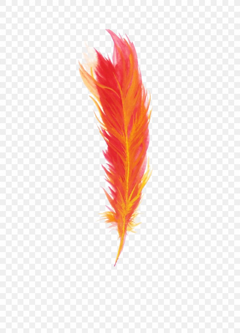 Feather Red, PNG, 1056x1464px, Feather, Jpeg Network Graphics, Leaf, Orange, Red Download Free