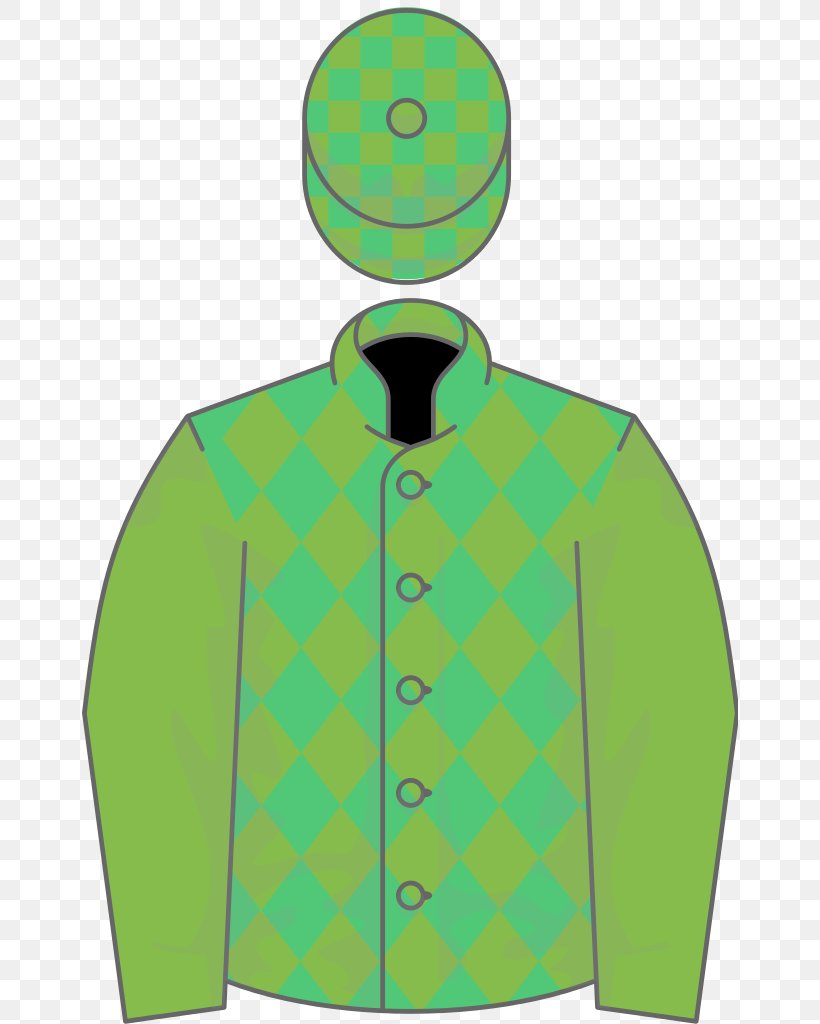 Thoroughbred Wikimedia Foundation Wikimedia Commons Horse Racing Wikipedia, PNG, 656x1024px, Thoroughbred, Creative Commons, Creative Commons License, Green, Horse Download Free