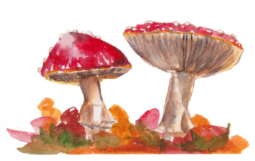 Autumn Pumpkin Pie Watercolor Painting Clip Art, PNG, 1197x758px, Autumn, Autumn Leaf Color, Ingredient, Mushroom, Paint Download Free