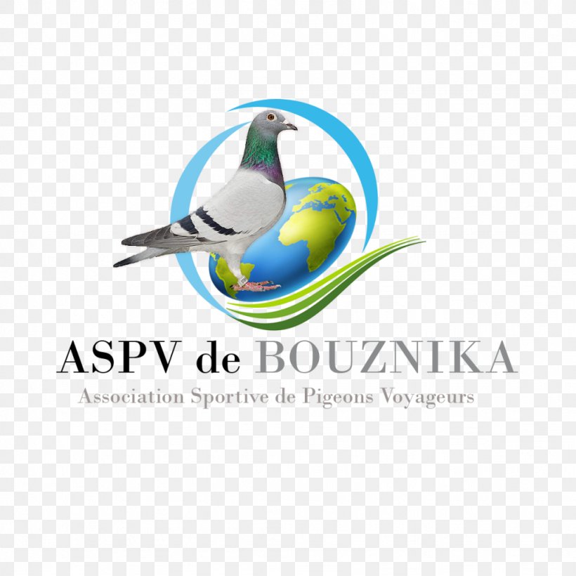 Brand Logo Bird Marketplace, PNG, 1024x1024px, Brand, Artwork, Bathroom, Beak, Bird Download Free