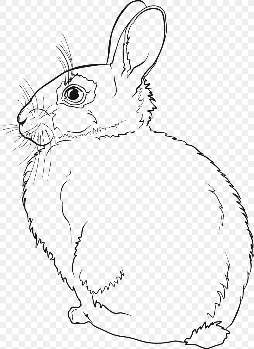 Hare European Rabbit Line Art Drawing, PNG, 1656x2278px, Hare, Artwork, Black And White, Cartoon, Cat Download Free