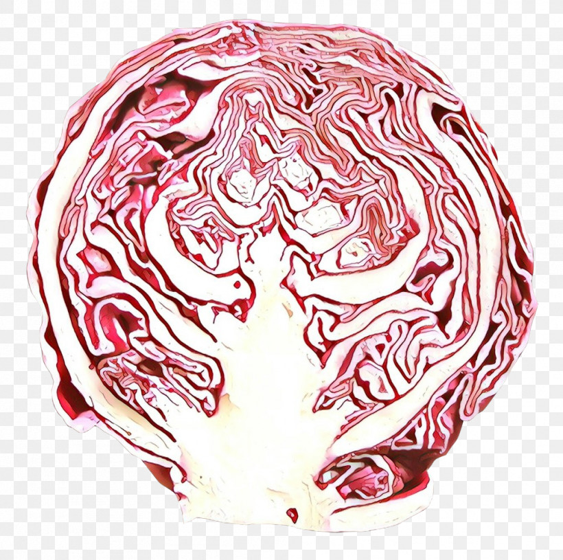 Head Cabbage Food Vegetable, PNG, 1011x1005px, Head, Cabbage, Food, Vegetable Download Free