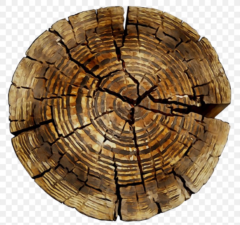 /m/083vt Tree Wood, PNG, 1153x1080px, M083vt, Basket, Plant, Tree, Tree Stump Download Free