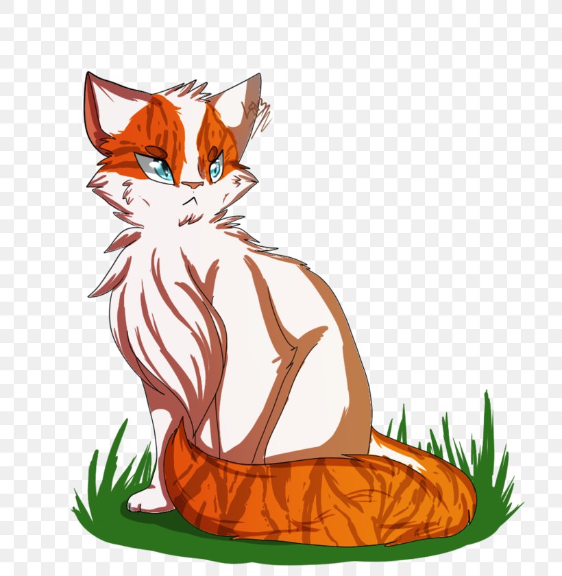 Whiskers Cat Red Fox, PNG, 800x840px, Whiskers, Carnivoran, Cat, Cat Like Mammal, Cinderpelt Download Free