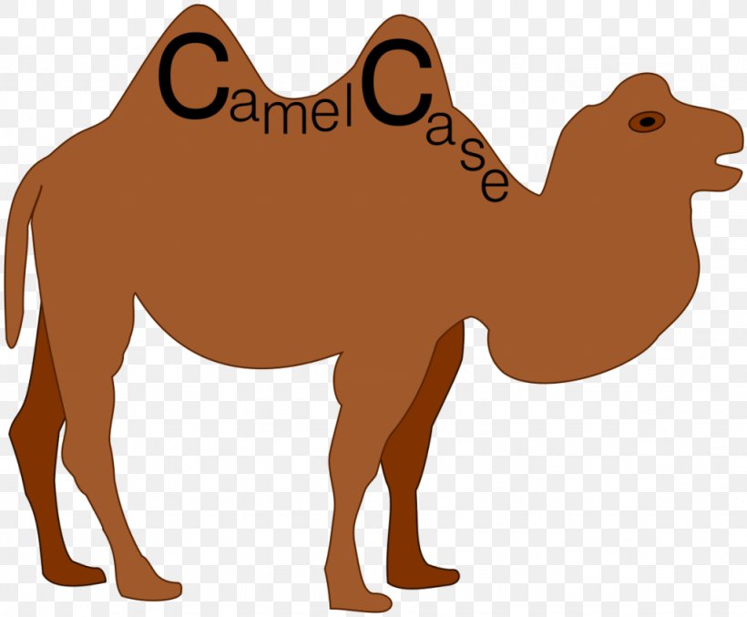 Camel Case Letter Case Naming Convention Snake Case Capitalization, PNG, 1024x846px, Camel Case, Arabian Camel, Camel, Camel Like Mammal, Capitalization Download Free
