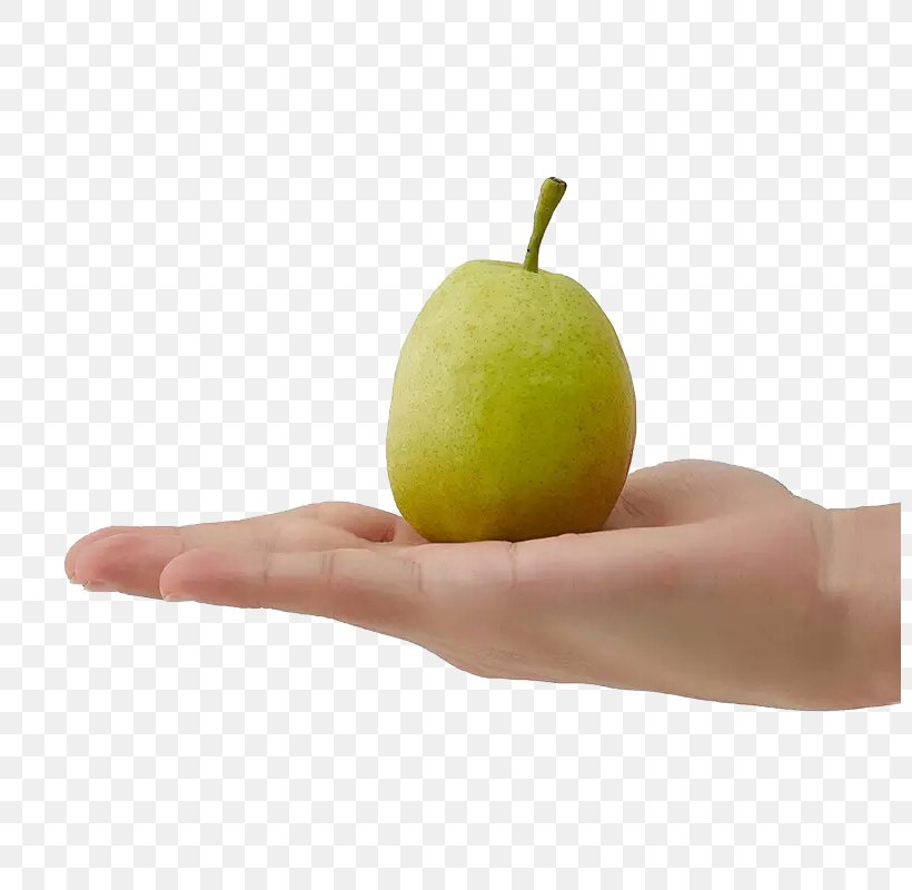 U65b0u7586u5e93u5c14u52d2u9999u68a8u80a1u4efdu516cu53f8 Download Hand Pear, PNG, 800x800px, Hand, Apple, Auglis, Designer, Food Download Free