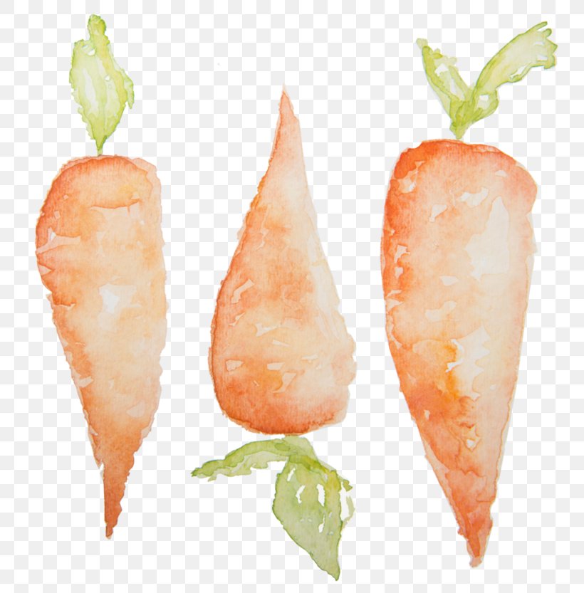 Clip Art Carrot Watercolor Painting Image, PNG, 800x833px, Carrot, Drawing, Food, Ingredient, Painting Download Free
