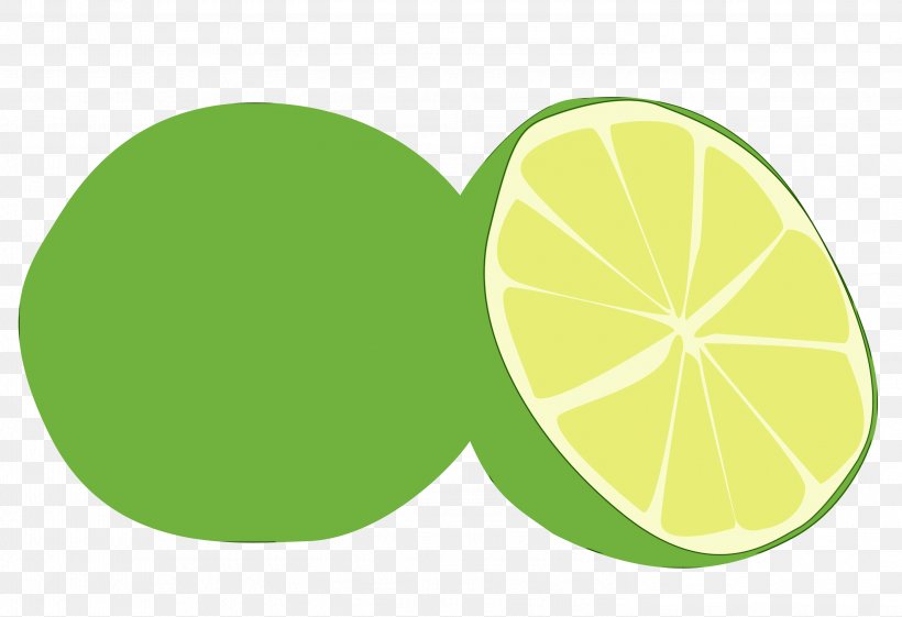 Green Leaf Background, PNG, 2948x2020px, Lime, Acid, Citric Acid, Citrus, Food Download Free