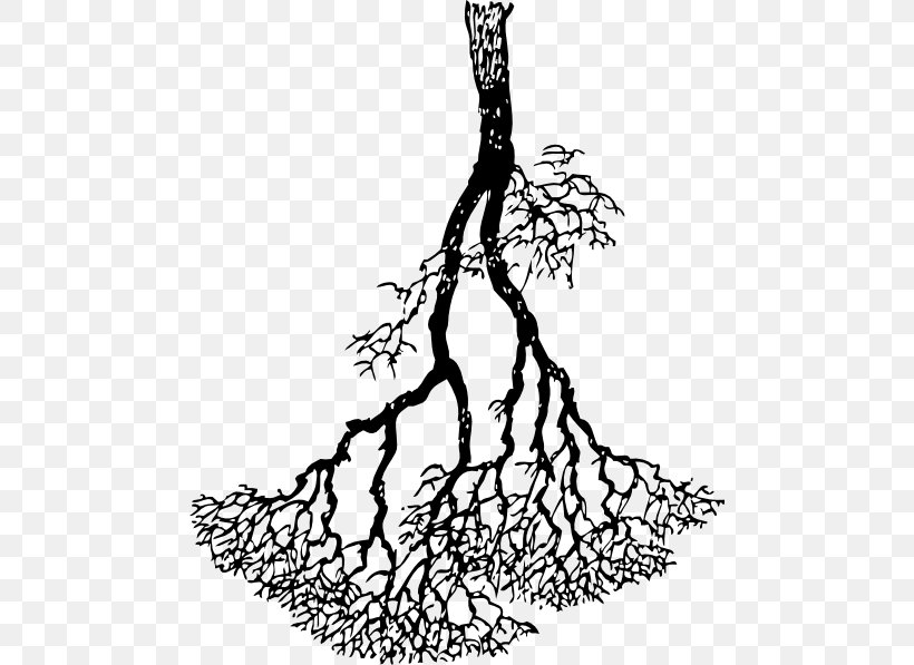 Twig Binary Search Tree Data Structure Binary Tree, PNG, 480x597px, Twig, Annona Montana, Artwork, Binary Search Tree, Binary Tree Download Free