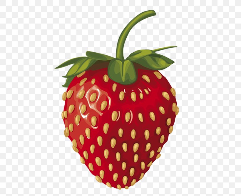 Wild Strawberry Amorodo Illustration, PNG, 500x666px, Strawberry, Accessory Fruit, Aedmaasikas, Amorodo, Apple Download Free