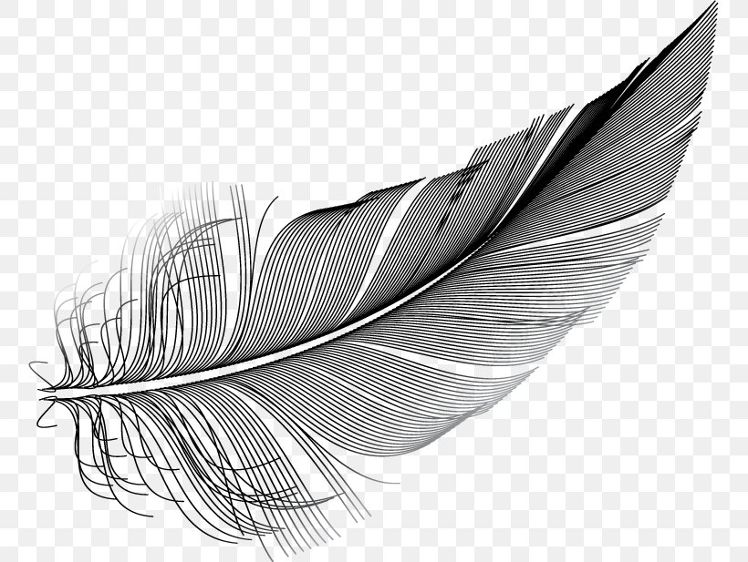 Feather Illustration Owl Image Royalty-free, PNG, 757x617px, Feather, Art, Black White M, Blackandwhite, Fashion Accessory Download Free