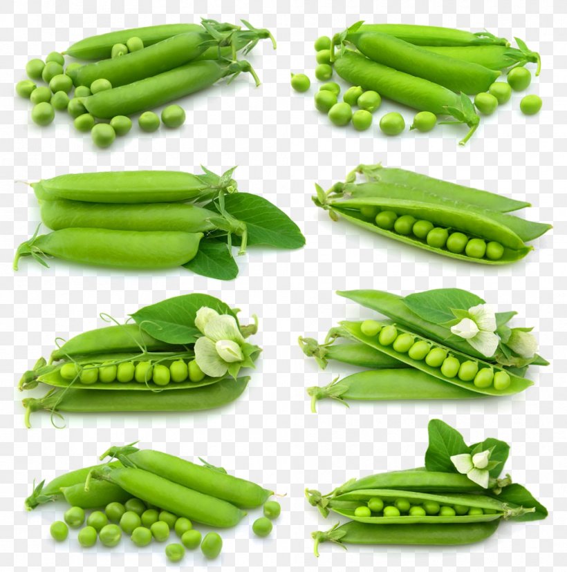 Snow Pea Euclidean Vector Photography, PNG, 990x1000px, Snow Pea, Bean, Food, Fruit, Green Bean Download Free