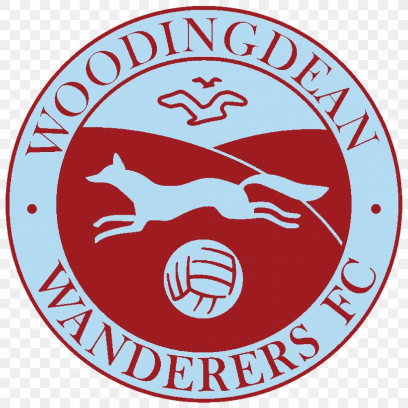 Wolverhampton Wanderers F.C. Woodingdean Wanderers Football Club The Football Association, PNG, 1000x1000px, Wanderers Fc, Area, Brand, England, Football Download Free