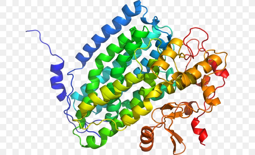 Beta-secretase 1 Transmembrane Protein Amyloid Precursor Protein Secretase Gamma Secretase Amyloid Beta, PNG, 655x500px, Betasecretase 1, Alamy, Amyloid, Amyloid Beta, Amyloid Precursor Protein Download Free