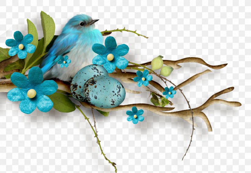 Bird Blue Computer Software Clip Art, PNG, 1354x935px, Bird, Apache Openoffice, Blue, Branch, Computer Software Download Free