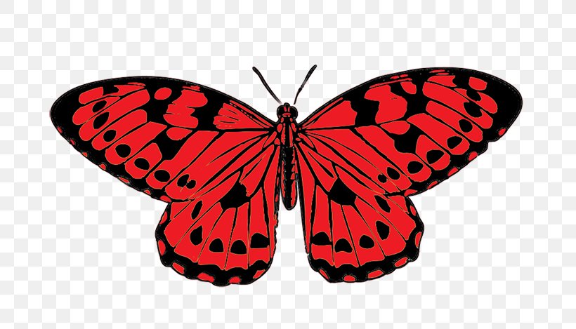 Butterfly Red Clip Art, PNG, 709x469px, Butterfly, Arthropod, Brush Footed Butterfly, Drawing, Free Content Download Free