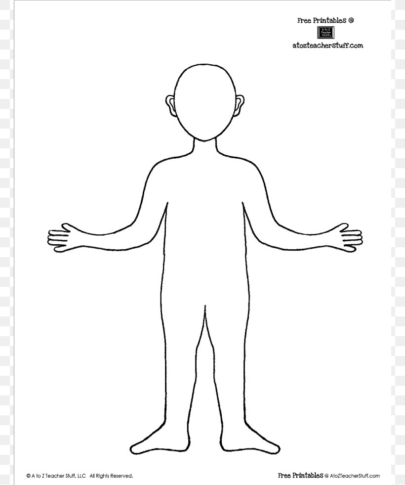 Human Body Template Drawing Face Clip Art, PNG, 764x981px, Watercolor,  Cartoon, Flower, Frame, Heart Download Free