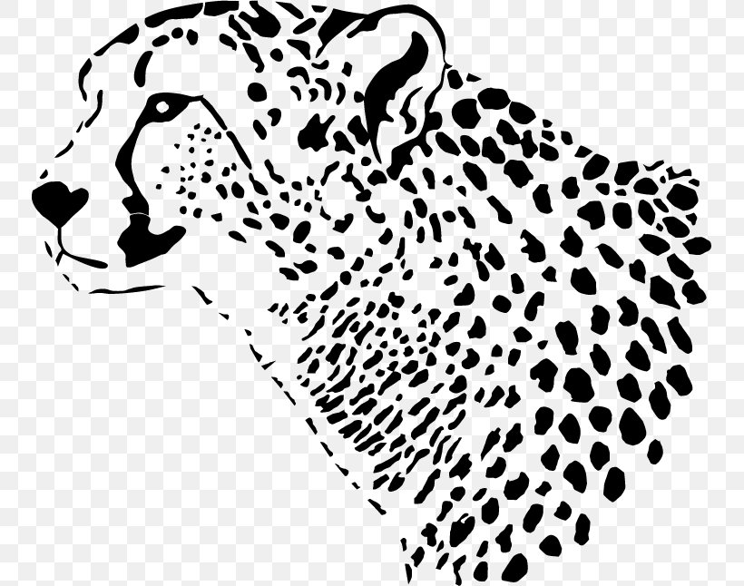 Leopard Cheetah Tiger Felidae, PNG, 751x646px, Leopard, Area, Big Cats, Black, Black And White Download Free