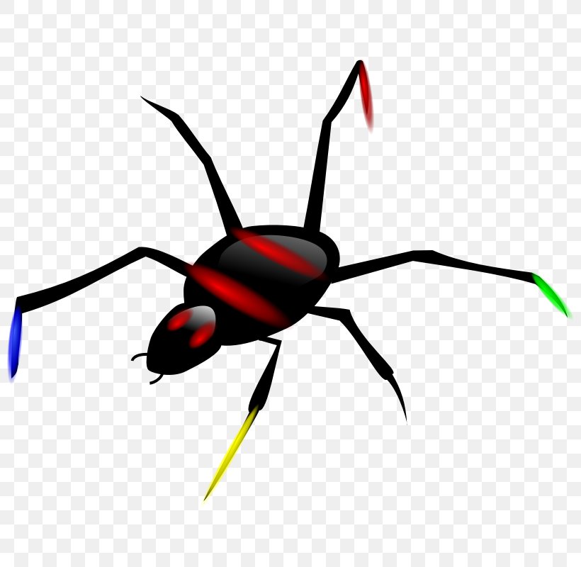 Spider Clip Art, PNG, 800x800px, Spider, Arthropod, Artwork, Black Widow Spider, Drawing Download Free