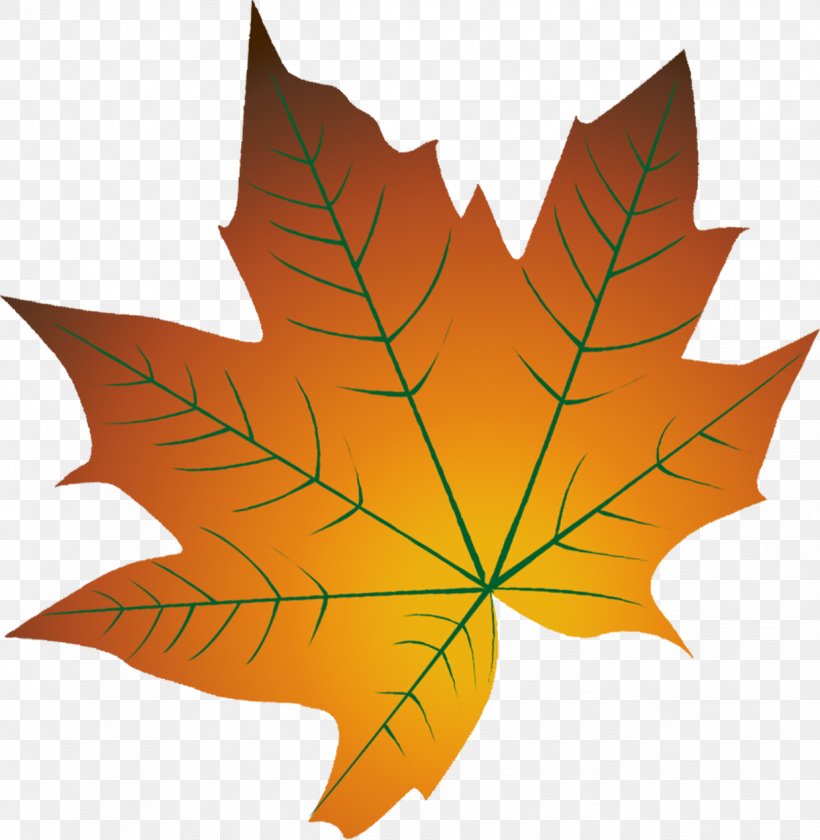 Autumn Leaf Color Cartoon Autumn Leaf Color, PNG, 1238x1269px, Leaf, Autumn, Autumn Leaf Color, Cartoon, Deciduous Download Free
