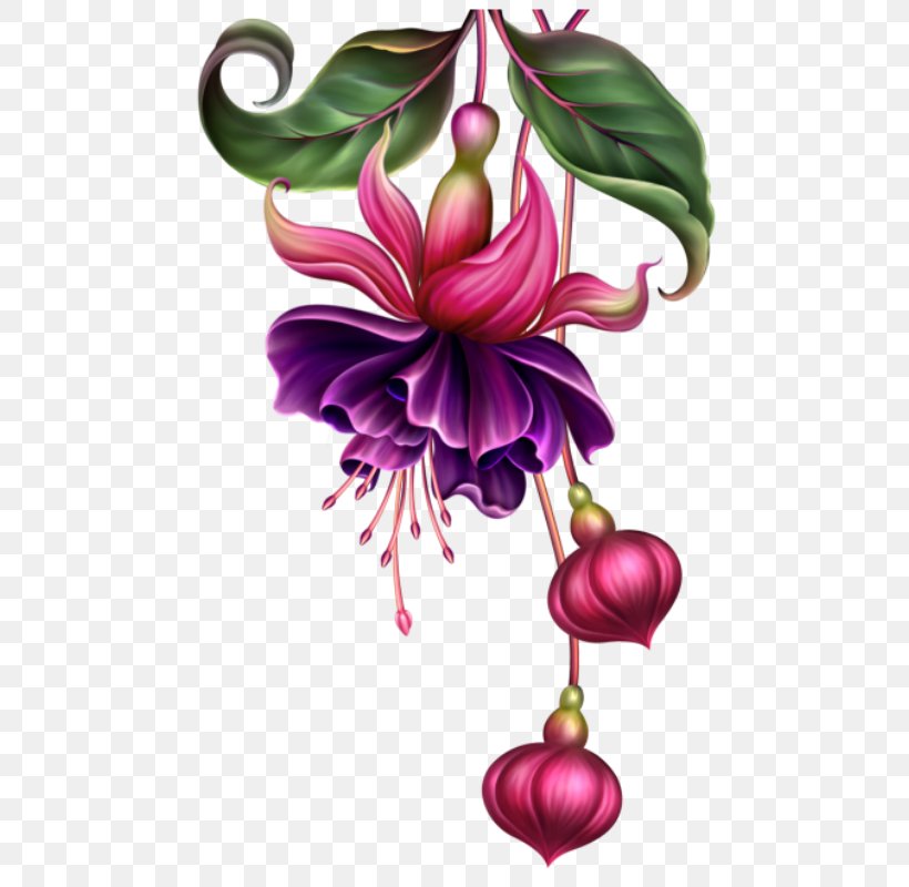 Fuchsia Watercolor Painting Digital Painting Pin, PNG, 486x800px, Fuchsia, Art, Clothing Accessories, Color, Decoupage Download Free