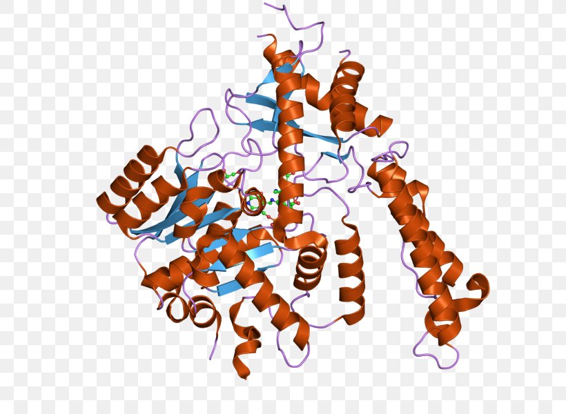 Methionine Glutamate Decarboxylase Aminopeptidase METAP2 GAD2, PNG, 800x600px, Methionine, Aminopeptidase, Crystal, Crystal Structure, Decarboxylation Download Free