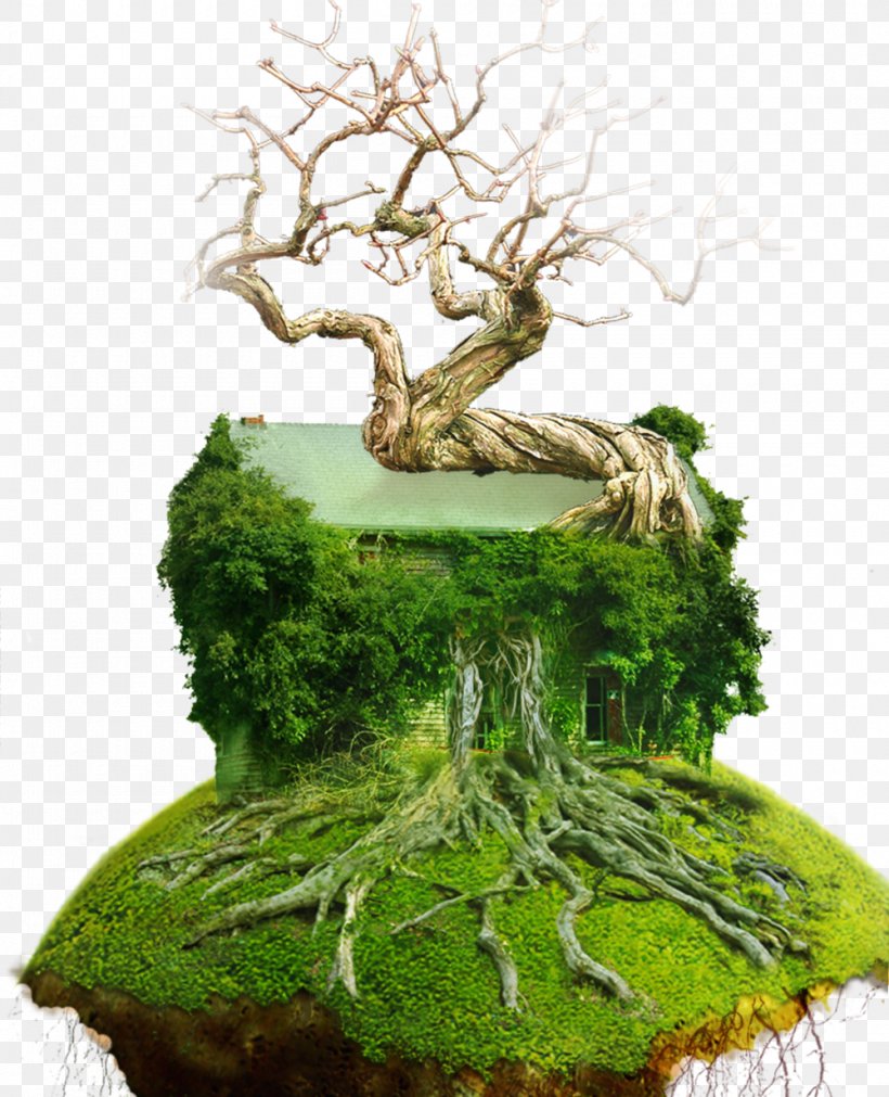 A Suspended Island, PNG, 1000x1234px, House, Bonsai, Houseplant, Plant, Resource Download Free