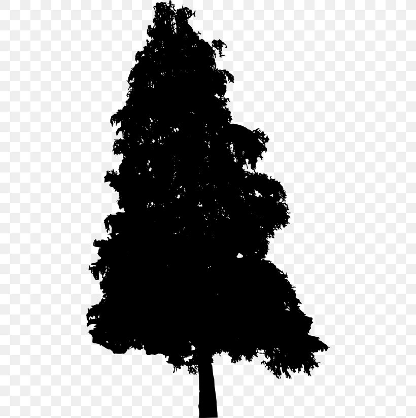 Christmas Black And White, PNG, 480x824px, Tree, American Larch, Bigtree, Blackandwhite, Branch Download Free