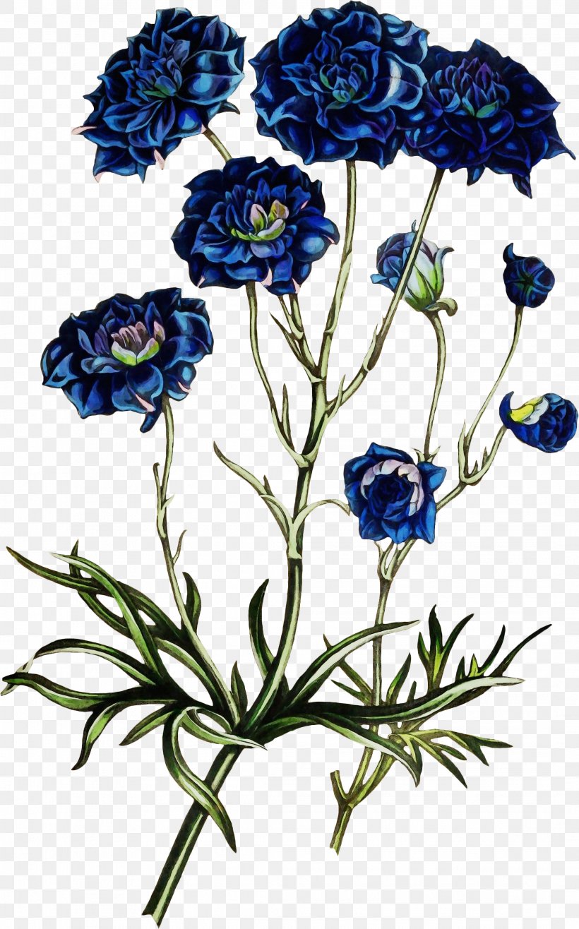 Flower Plant Cut Flowers Wildflower Petal, PNG, 2134x3425px, Watercolor, Cut Flowers, Delphinium, Flower, Monkshood Download Free
