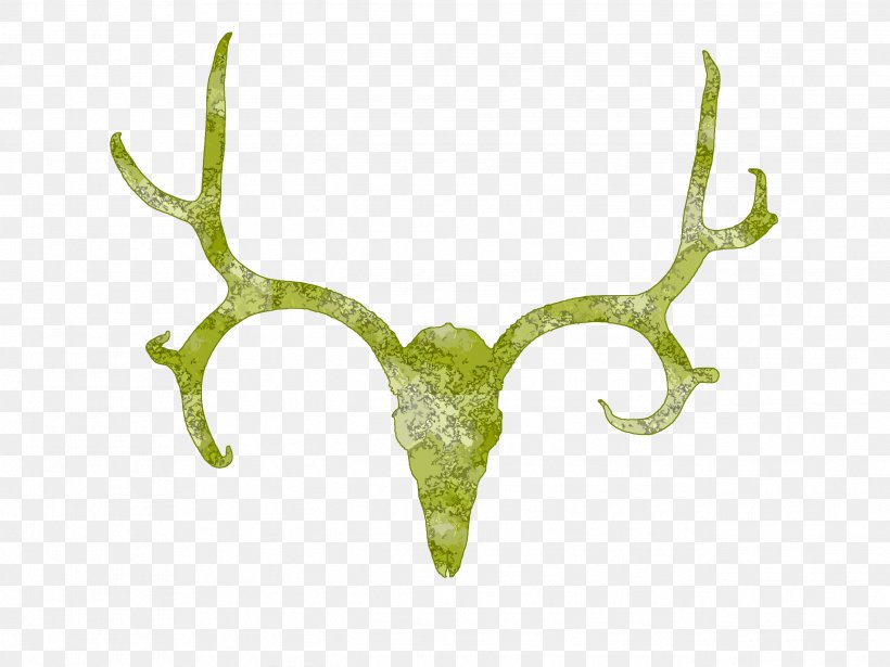White-tailed Deer Antler Skull Clip Art, PNG, 2592x1944px, Deer, Antler, Decal, Deer Hunting, Drawing Download Free
