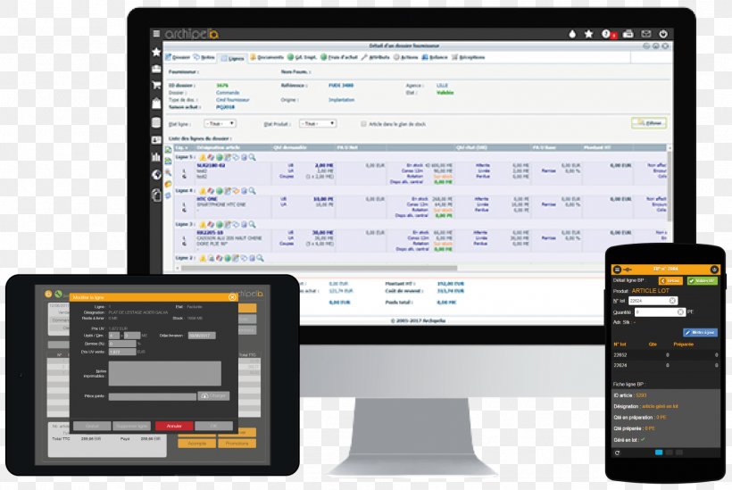 Computer Software Enterprise Resource Planning Centre Socio-culturel Archipélia Software As A Service Industry, PNG, 1806x1211px, Computer Software, Business, Communication, Display Device, Electronics Download Free