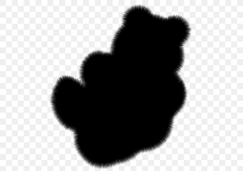 Dog Bear Canidae Mammal Fur, PNG, 538x577px, Dog, Bear, Black M, Blackandwhite, Canidae Download Free