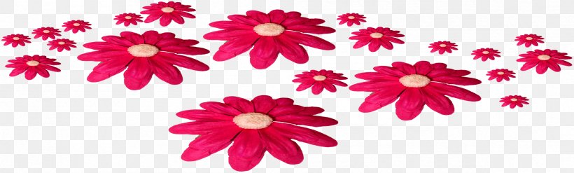 Flower Fuchsia, PNG, 2375x718px, Flower, Chrysanthemum, Chrysanths, Cut Flowers, Dahlia Download Free