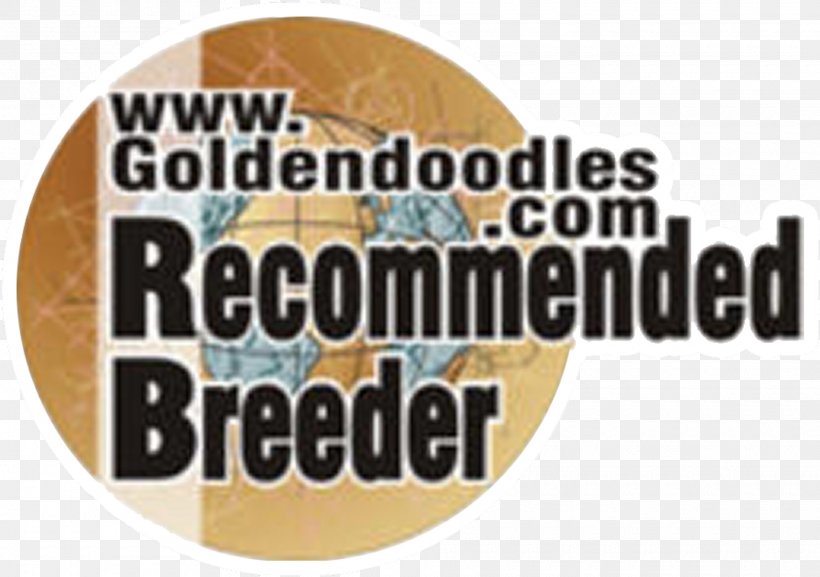 Goldendoodle Labradoodle Poodle Cavapoo Puppy, PNG, 1920x1352px, Goldendoodle, Bernedoodle, Brand, Breed, Breeder Download Free