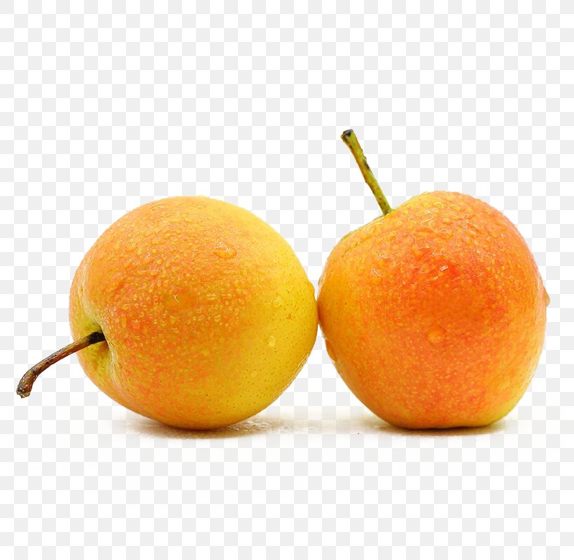 Clementine Pear Tangerine Food, PNG, 800x800px, Clementine, Apple, Bitter Orange, Blood Orange, Citrus Download Free