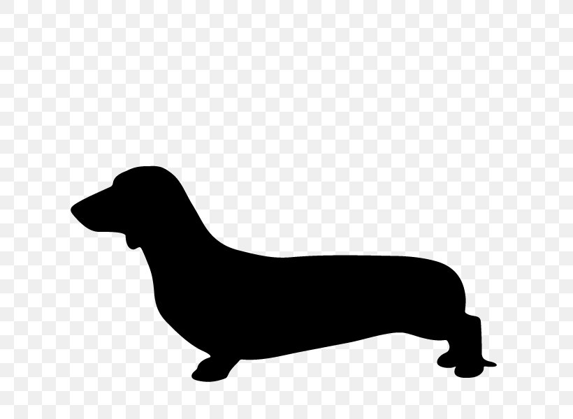 Dachshund Puppy Labrador Retriever Dog Breed Hot Dog, PNG, 800x600px, Dachshund, Black, Black And White, Carnivoran, Dog Download Free