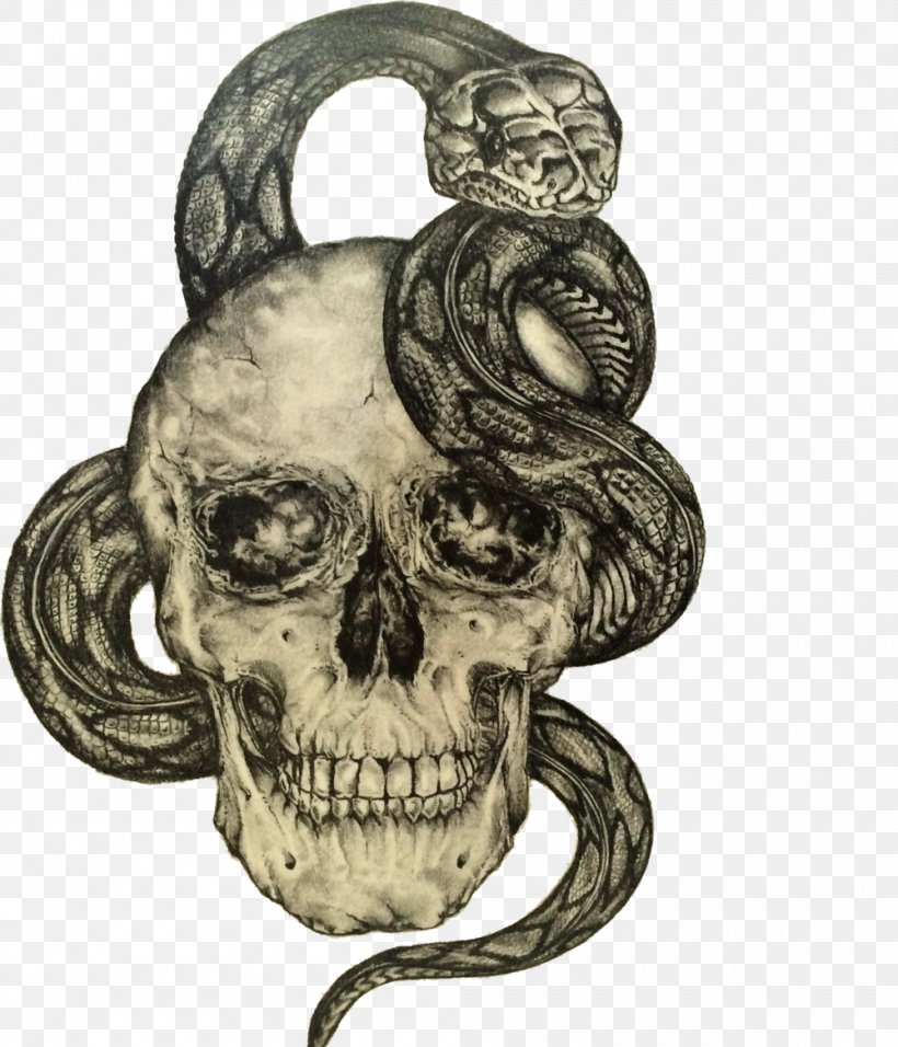 Human Skull Symbolism Drawing Skull Art, PNG, 1000x1167px, Skull, Anatomy, Art, Bone, Colored Pencil Download Free
