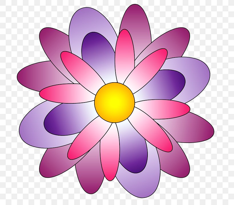 Pink Flower Purple Violet Lilac, PNG, 707x720px, Pink, Color, Dahlia, Drawing, Flower Download Free