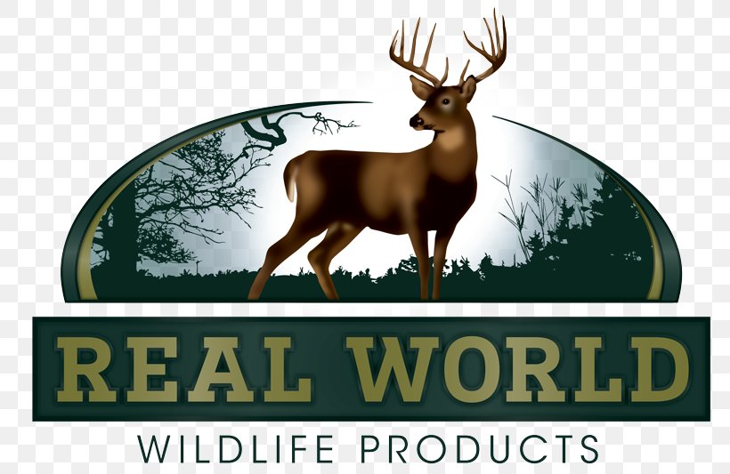 Realworld Wildlife Seed Deer Food Plot Hunting, PNG, 800x533px, Deer, Antler, Company, Deer Hunting, Deer Management Download Free