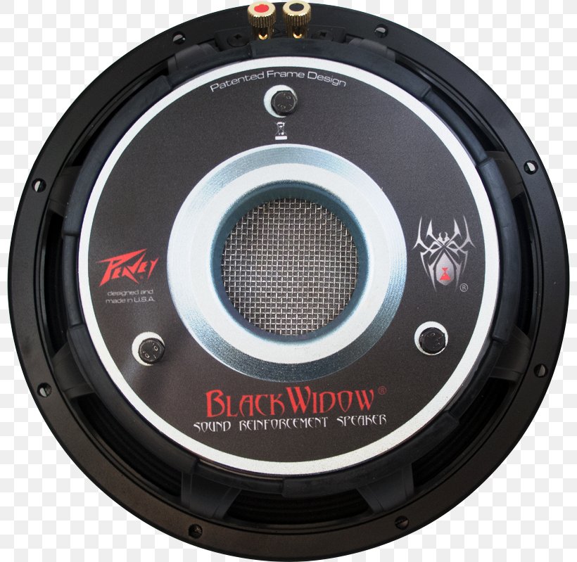 Subwoofer Peavey Electronics Loudspeaker Peavey Low Rider 560 Amplifier, PNG, 800x799px, Subwoofer, Amplifier, Antique Electronic Supply, Audio, Audio Equipment Download Free