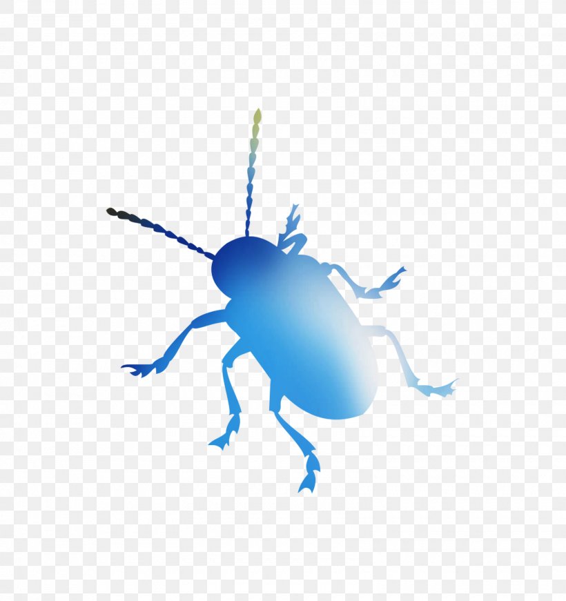 Weevil Beetle Desktop Wallpaper Font Computer, PNG, 1600x1700px, Weevil, Arthropod, Beetle, Blister Beetles, Computer Download Free
