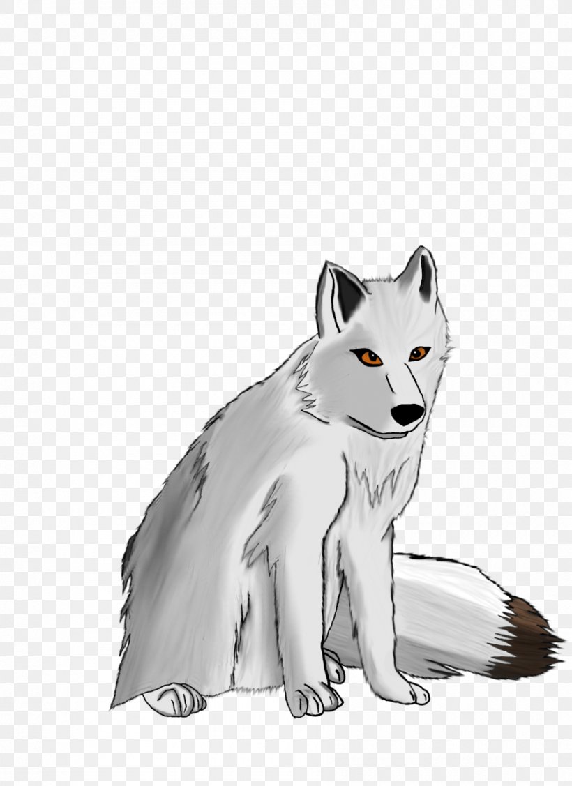 Arctic Fox Gray Wolf Drawing, PNG, 900x1238px, Arctic Fox, Arctic, Black And White, Canidae, Carnivoran Download Free