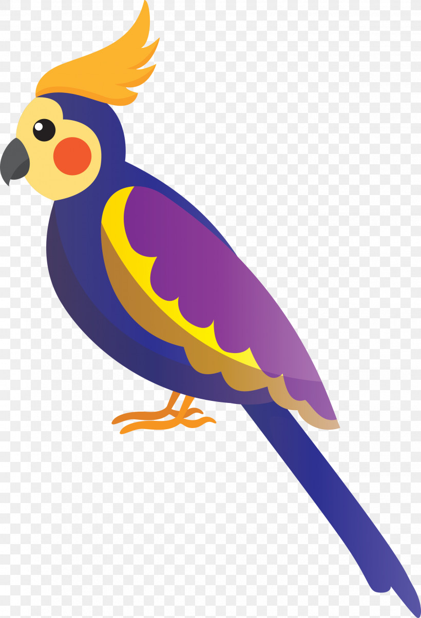 Parrots Chicken Beak Chicken, PNG, 2042x3000px, Bird Cartoon, Beak, Chicken, Cute Bird, Parrots Download Free