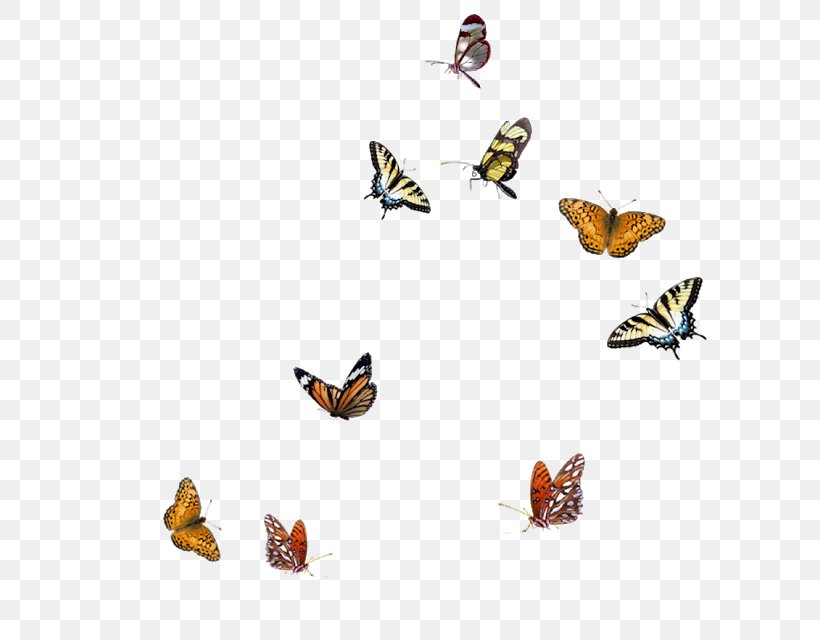 Butterfly Insect, PNG, 636x640px, Butterfly, Animal Figure, Arthropod, Brush Footed Butterfly, Brushfooted Butterflies Download Free