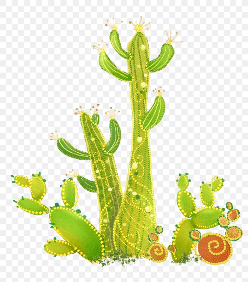 Cactus Image Cartoon Drawing, PNG, 804x933px, Cactus, Aquarium Decor, Botany, Cartoon, Desert Prickly Pear Download Free