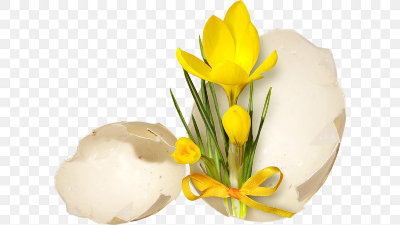 Easter Egg Easter Monday November, PNG, 600x461px, 2016, 2017, 2018, Easter, Cut Flowers Download Free
