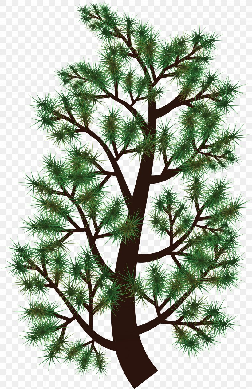 Pine Tree Branch Fir Clip Art, PNG, 4000x6172px, Pine, Branch, Christmas Decoration, Christmas Ornament, Christmas Tree Download Free