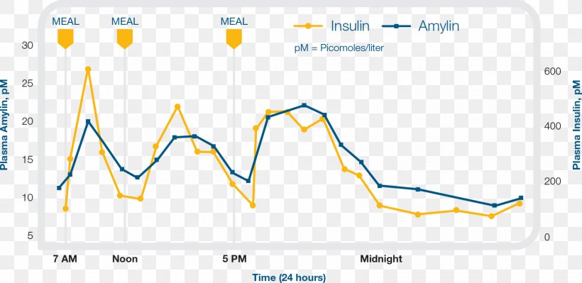 Pramlintide Acetate Amylin Hormone Insulin, PNG, 1452x708px, Hormone, Acetate, Area, Brand, Diabetes Mellitus Download Free