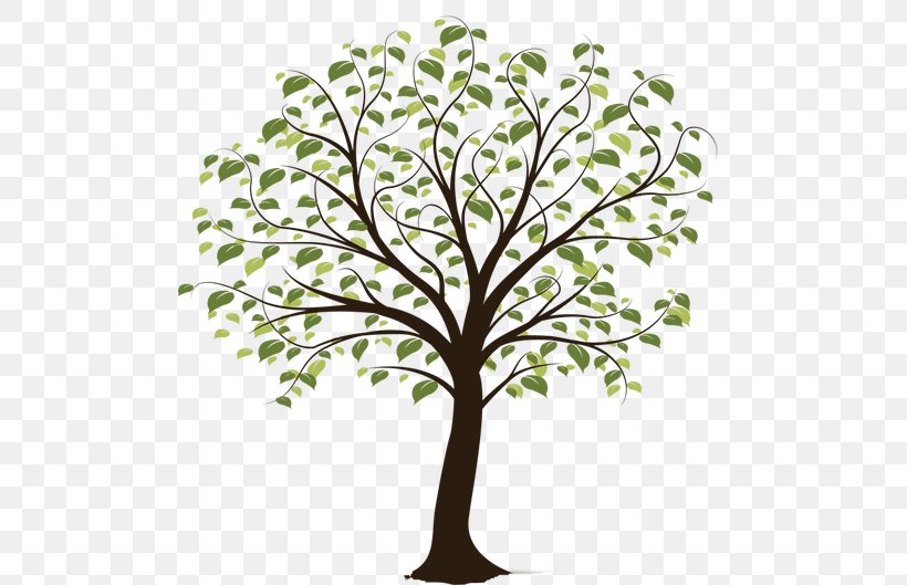 Tree Clip Art, PNG, 551x529px, Tree, Blossom, Branch, Document, Family Tree Download Free