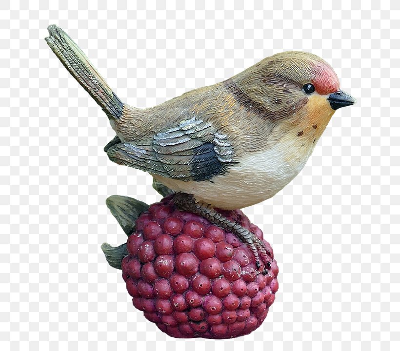 Bird Wren, PNG, 720x720px, Bird, Animal, Beak, Bird Food, Fruit Download Free